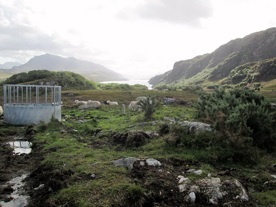 Loch Maree — Martin Dawes  / Wikimedia Commons / CC BY-SA 2.0