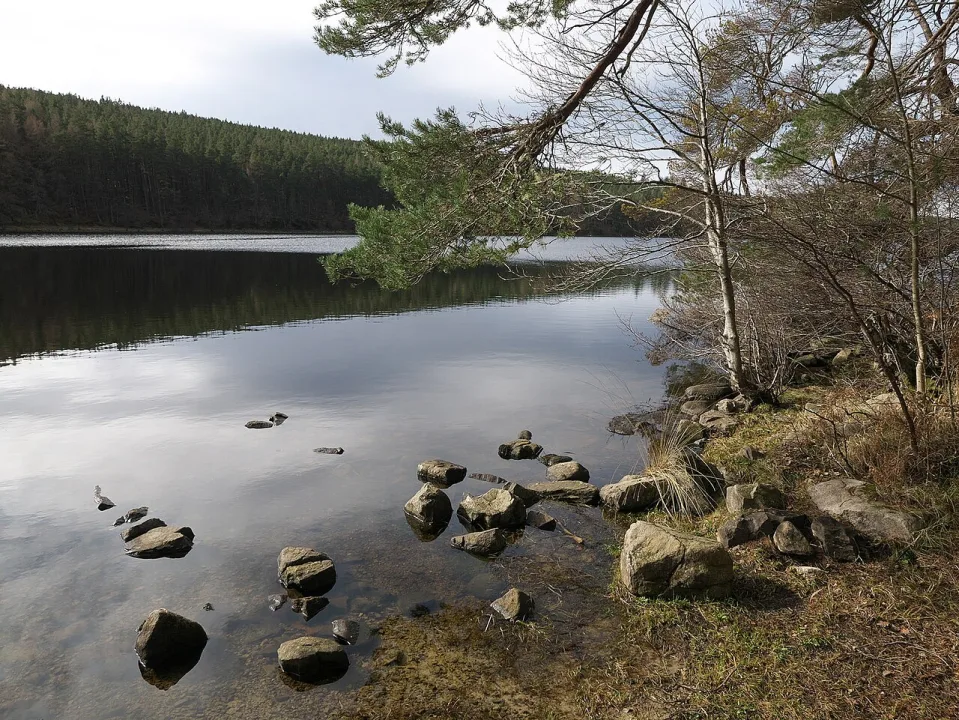 Loch Migdale — Julian Paren  / Wikimedia Commons / CC BY-SA 2.0