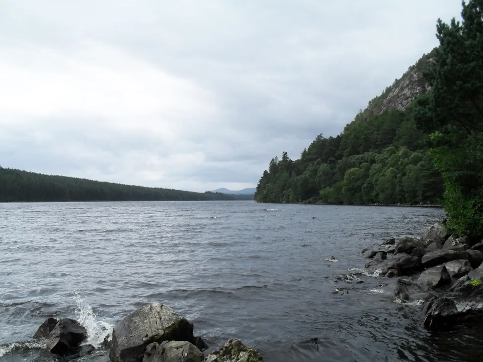 Loch Migdale — Peter Moore  / Wikimedia Commons / CC BY-SA 2.0