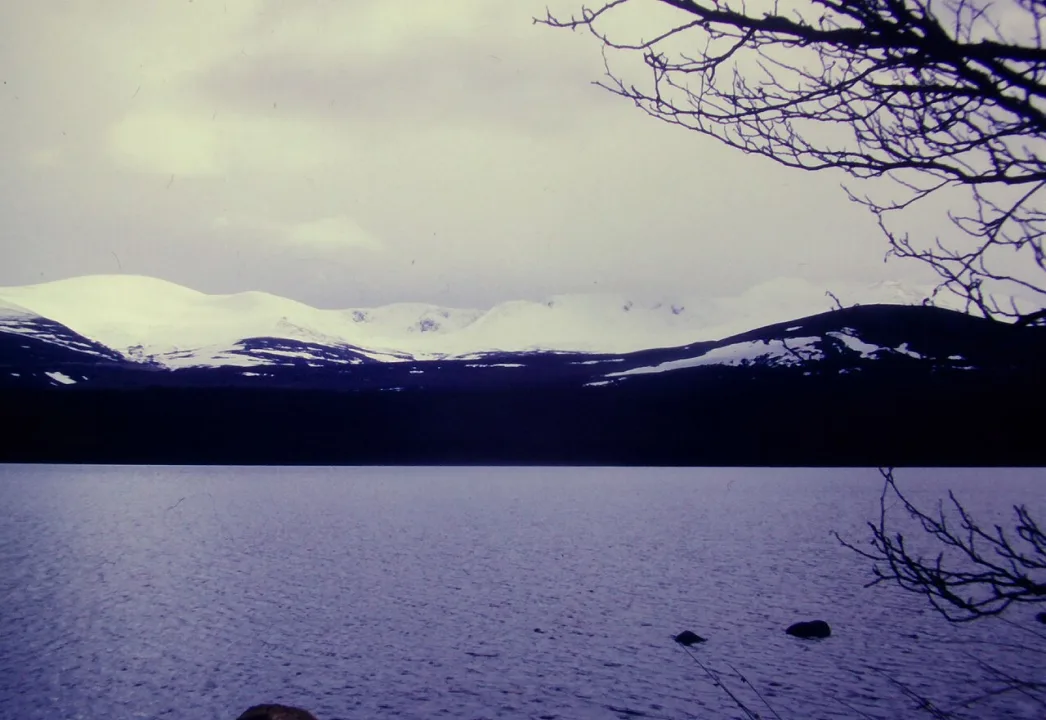 Loch Morlich — Richard Law  / Wikimedia Commons / CC BY-SA 2.0