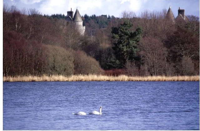 Loch of Skene — Peter Ward / Wikimedia Commons / CC BY-SA 2.0