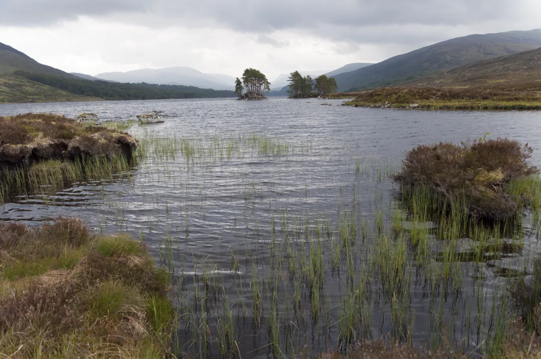 Loch Ossian — Paul Hermans / Wikimedia Commons / CC BY-SA 3.0