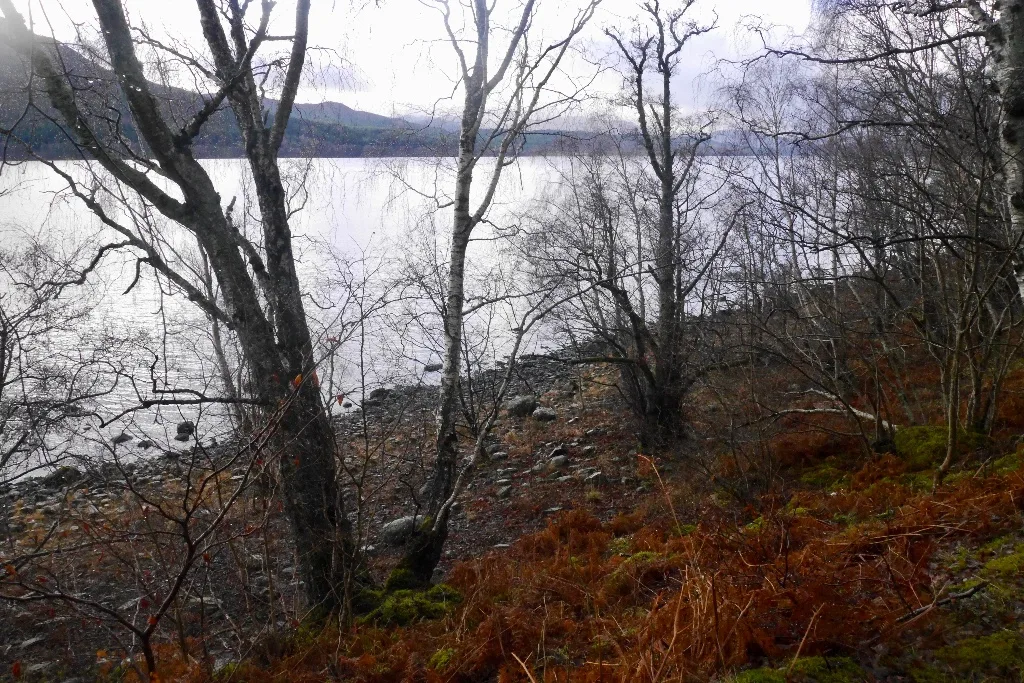 Loch Rannoch — Richard Webb  / Wikimedia Commons / CC BY-SA 2.0