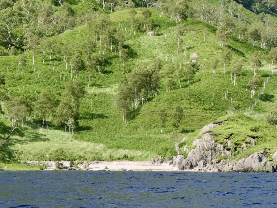 Loch Shiel — Richard Webb  / Wikimedia Commons / CC BY-SA 2.0