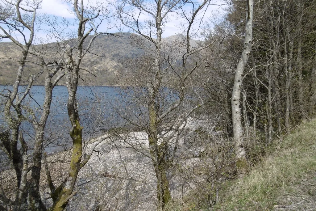 Loch Shiel — Richard Webb  / Wikimedia Commons / CC BY-SA 2.0
