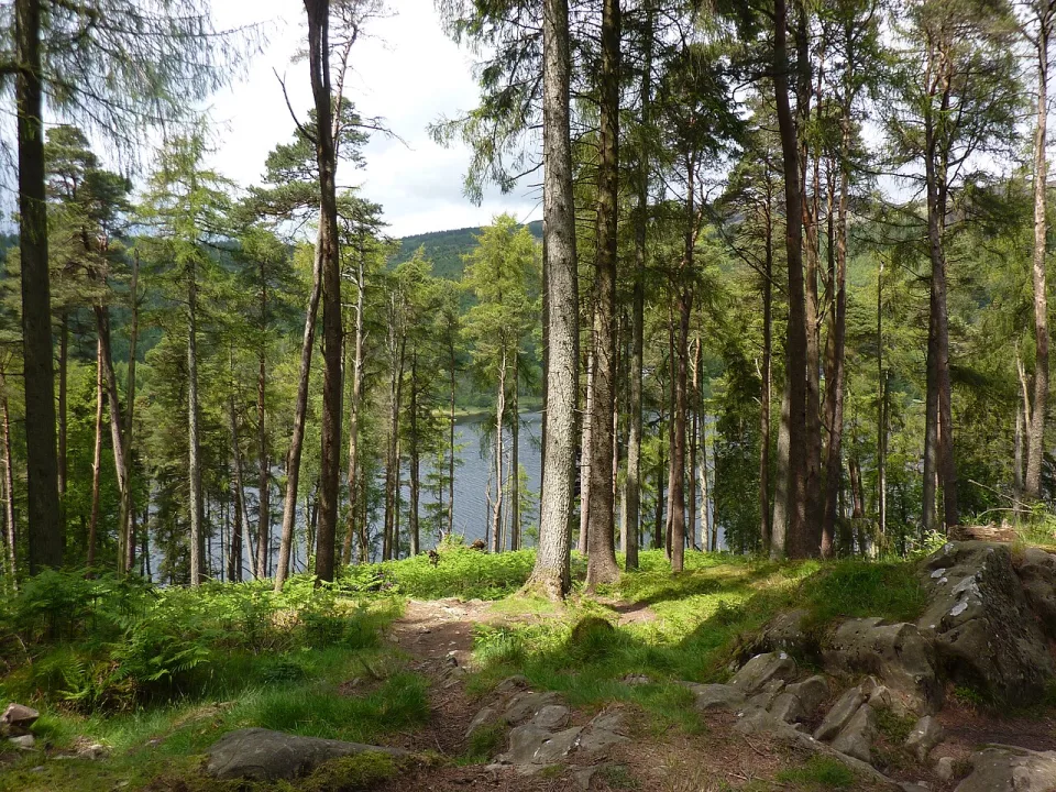 Loch Trool — Andrew Bowden from London, United Kingdon / Wikimedia Commons / CC BY-SA 2.0