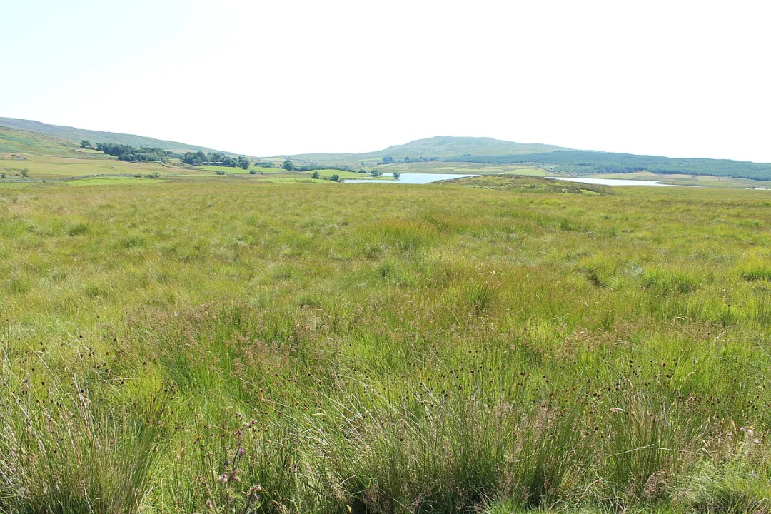Loch Urr — Billy McCrorie  / Wikimedia Commons / CC BY-SA 2.0