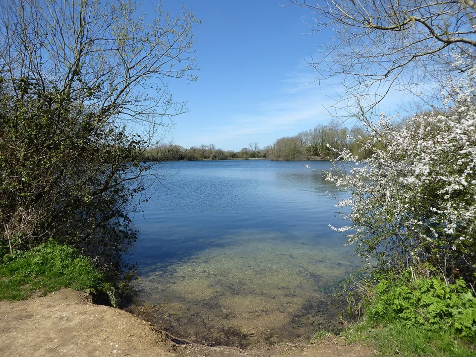 Neigh Bridge Lake — Vieve Forward  / Wikimedia Commons / CC BY-SA 2.0