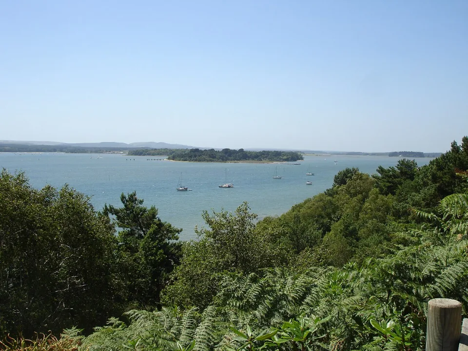 Poole Harbour — LordHarris at English Wikipedia / Wikimedia Commons / CC BY-SA 3.0