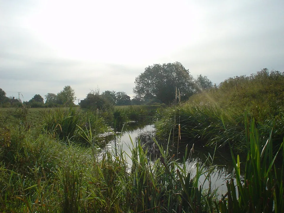 River Adur — Rob Beattie (Wikirob2 at en.wikipedia) / Wikimedia Commons / Public domain