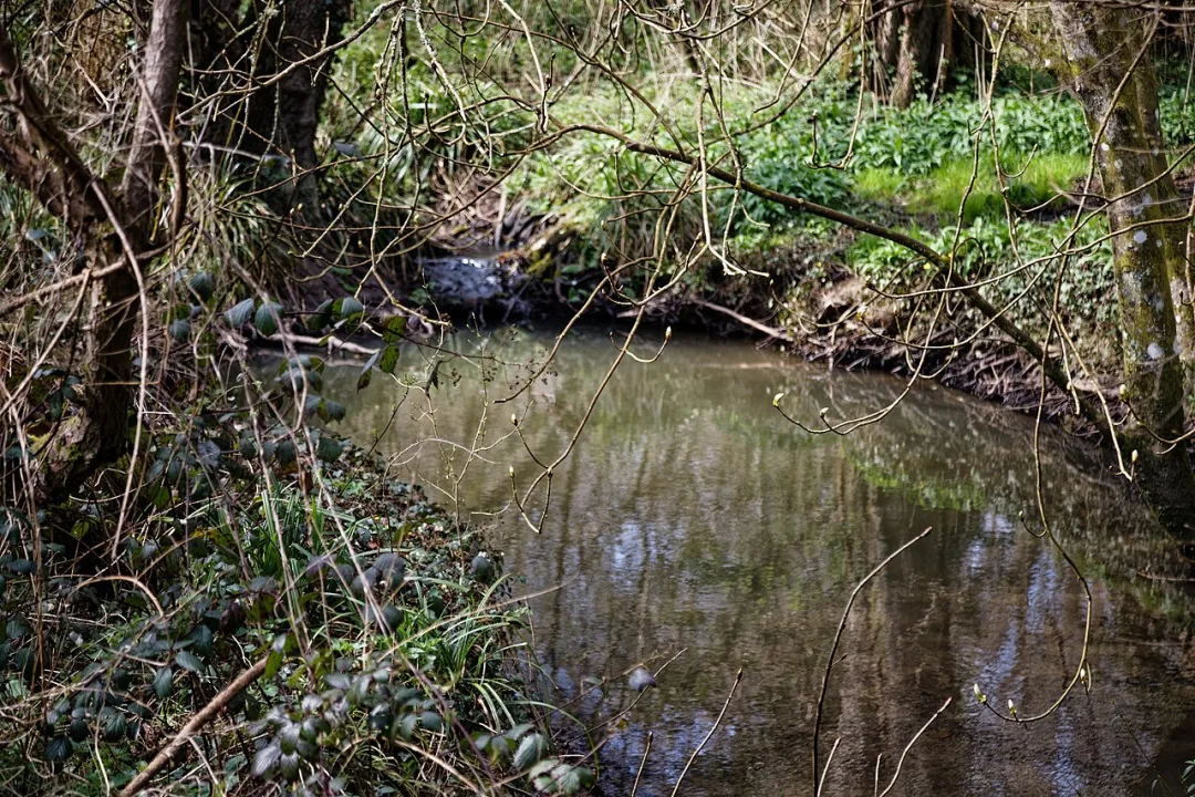 River Adur — Acabashi / Wikimedia Commons / CC BY-SA 4.0