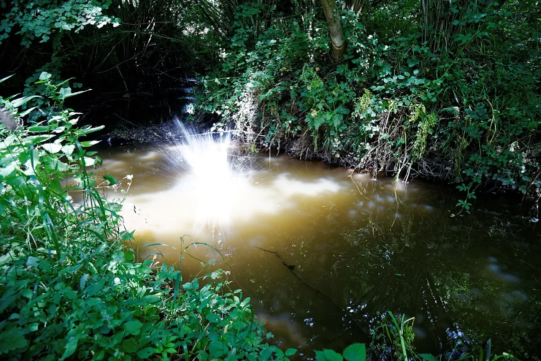 River Arun — Acabashi / Wikimedia Commons / CC BY-SA 4.0