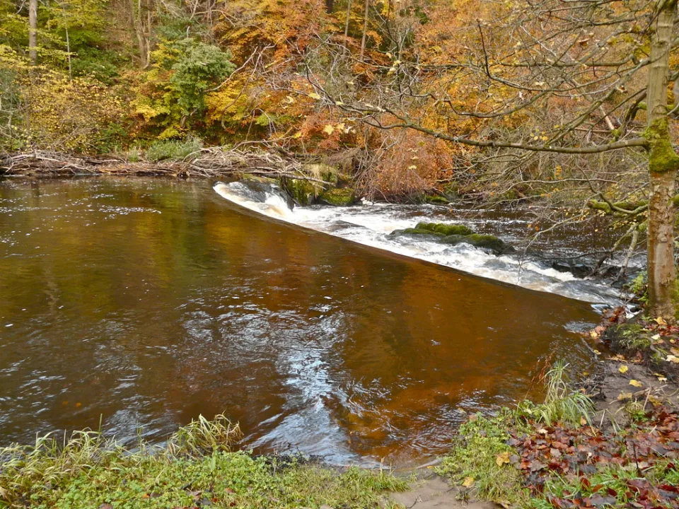River Avon — AlastairG  / Wikimedia Commons / CC BY-SA 2.0