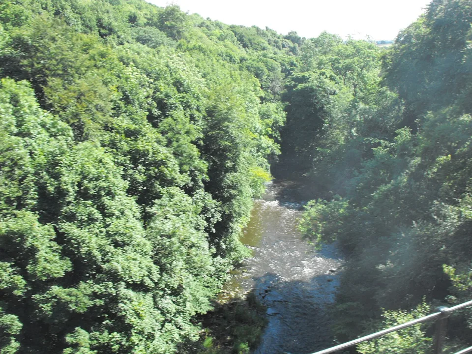 River Avon — John MacKenzie  / Wikimedia Commons / CC BY-SA 2.0