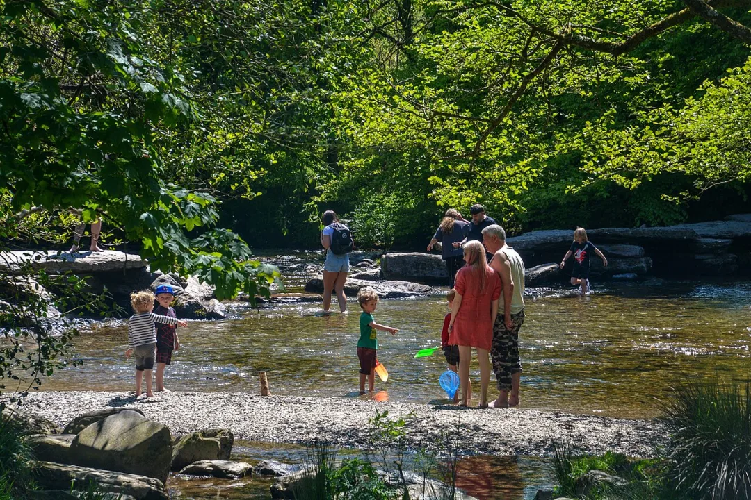River Barle — Lewis Clarke  / Wikimedia Commons / CC BY-SA 2.0
