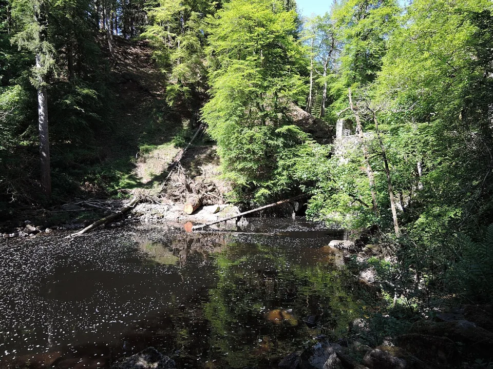 River Braan — Daniel Baránek / Wikimedia Commons / CC BY-SA 4.0