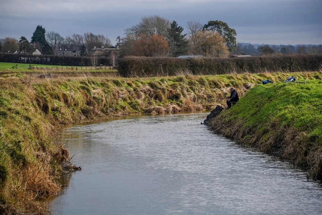 River Brue — Lewis Clarke  / Wikimedia Commons / CC BY-SA 2.0