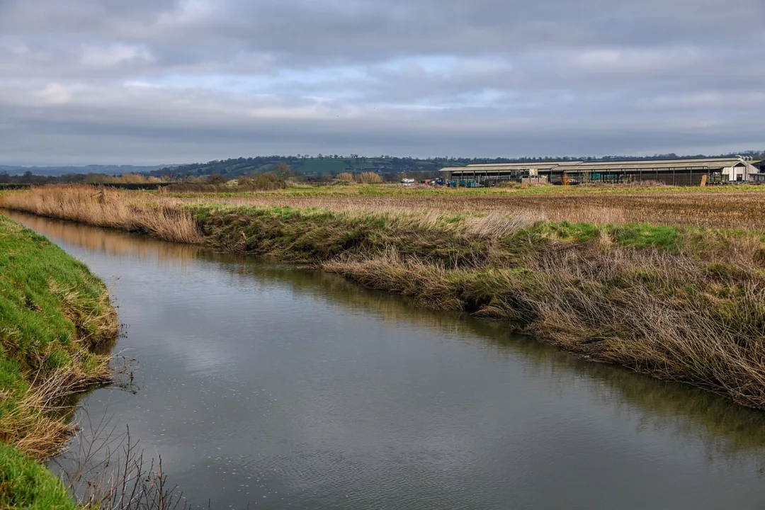 River Brue — Lewis Clarke  / Wikimedia Commons / CC BY-SA 2.0