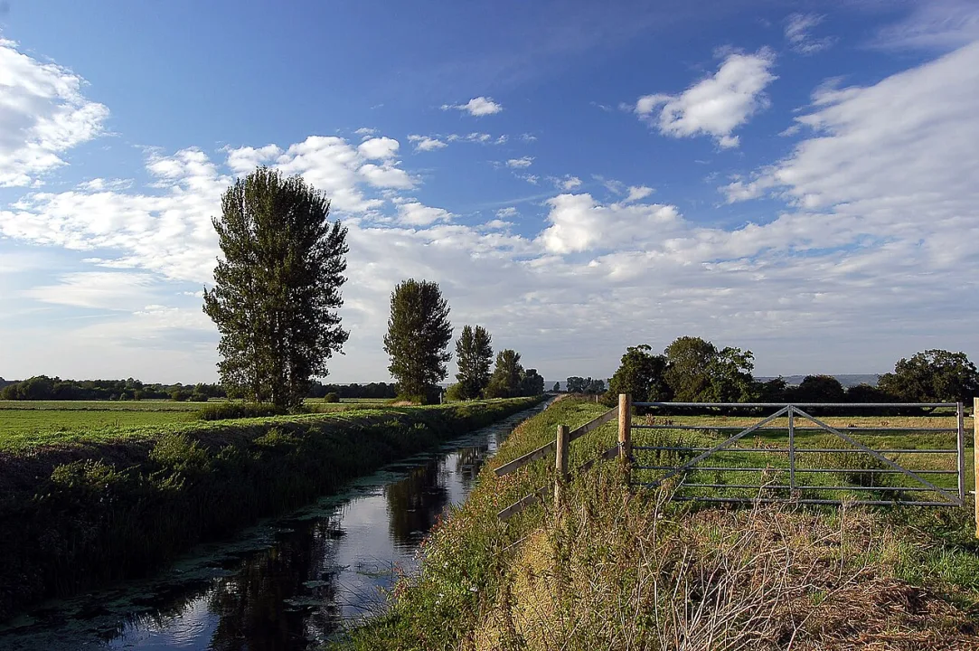 River Brue — Wikimedia Commons / CC BY 2.5