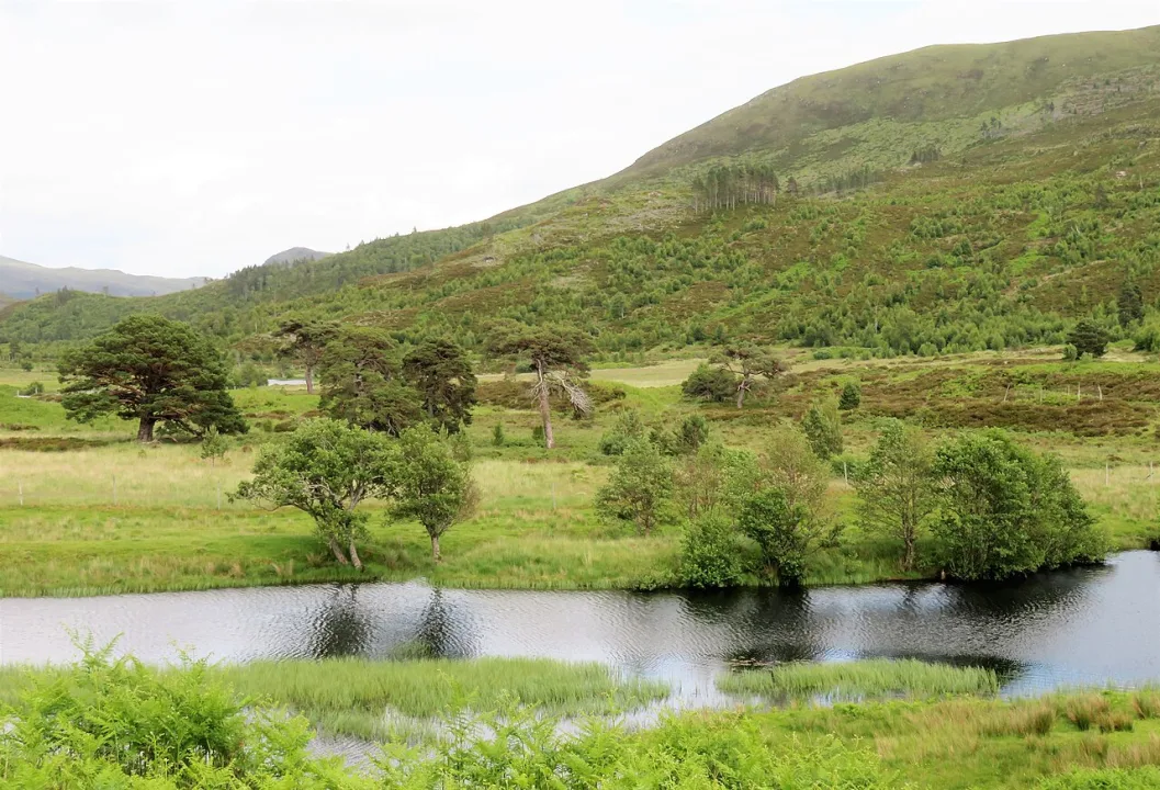 River Cannich — Gordon Hatton  / Wikimedia Commons / CC BY-SA 2.0