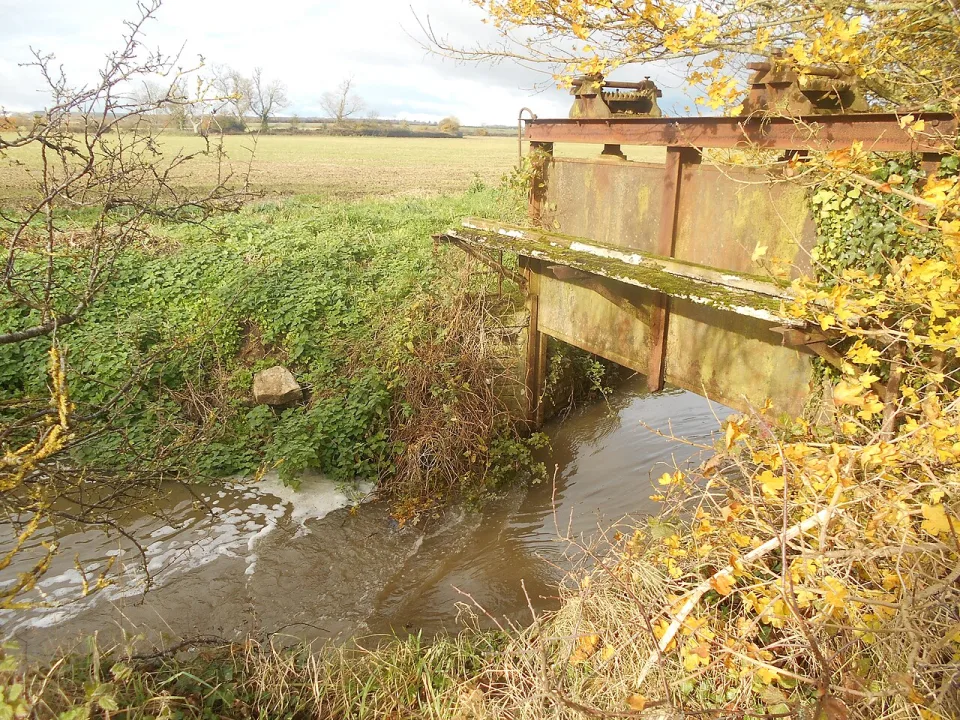 River Cary — Simon Burchell / Wikimedia Commons / CC BY-SA 4.0