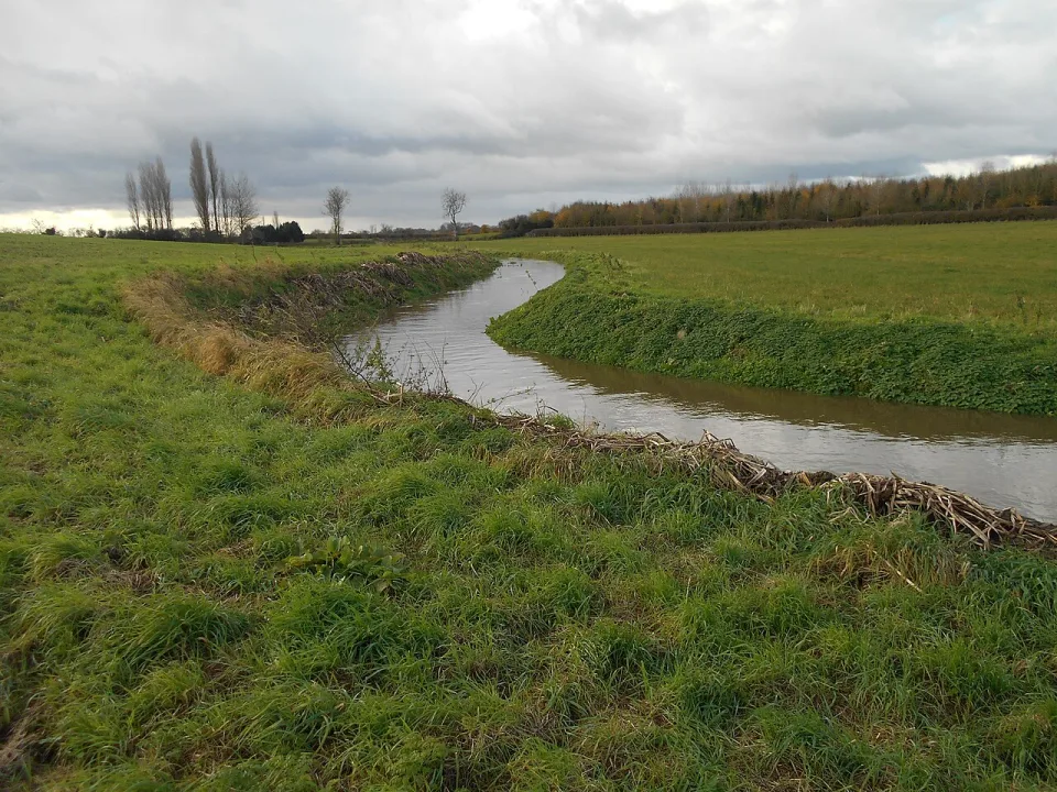 River Cary — Simon Burchell / Wikimedia Commons / CC BY-SA 4.0