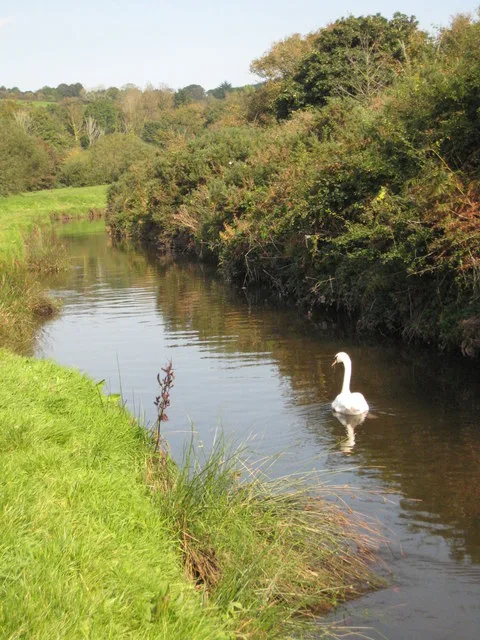 River Cober — Rod Allday / Wikimedia Commons / CC BY-SA 2.0