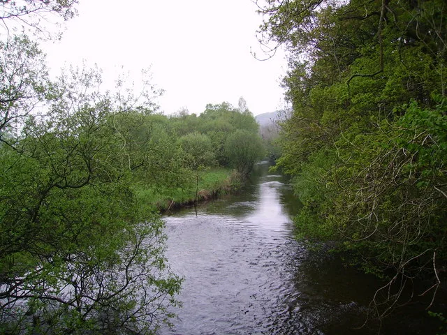 River Crake — Ron Shirt / Wikimedia Commons / CC BY-SA 2.0