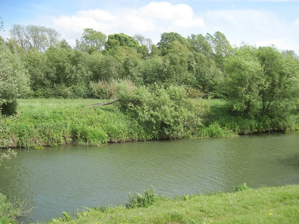 River Derwent — Martin Dawes  / Wikimedia Commons / CC BY-SA 2.0