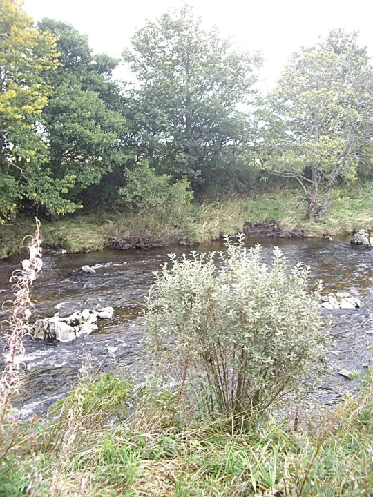 River Deveron — Stanley Howe  / Wikimedia Commons / CC BY-SA 2.0