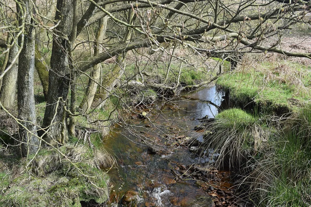 River Esk — Bill Harrison  / Wikimedia Commons / CC BY-SA 2.0