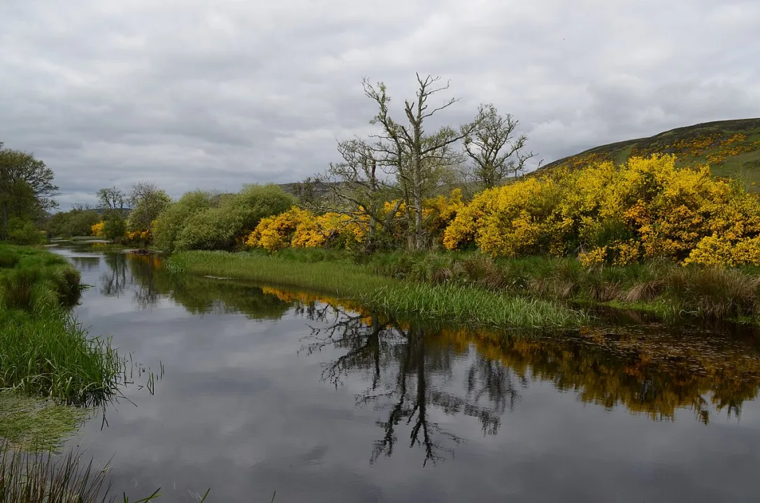 River Fleet — Andrew Tryon / Wikimedia Commons / CC BY-SA 2.0