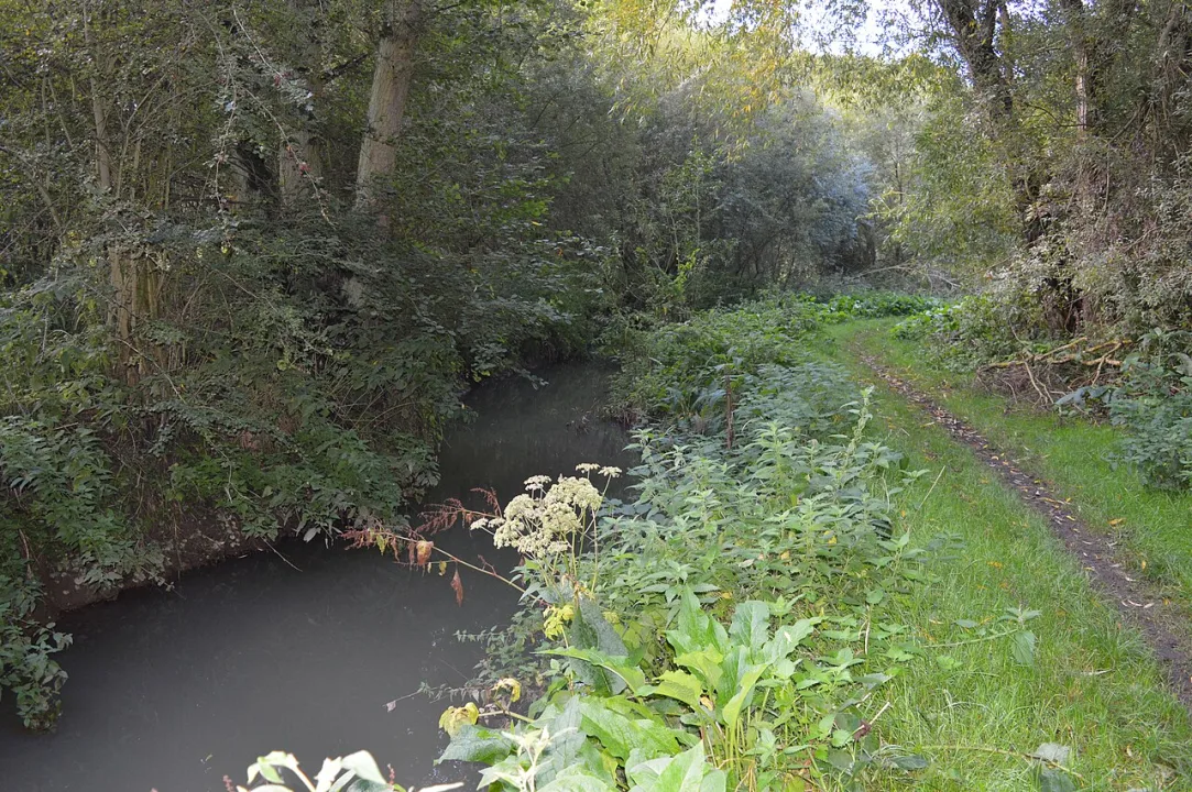 River Flit — Dudley Miles / Wikimedia Commons / CC BY-SA 4.0