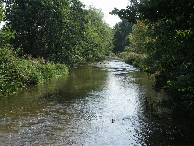 River Frome — Mike Smith / Wikimedia Commons / CC BY-SA 2.0