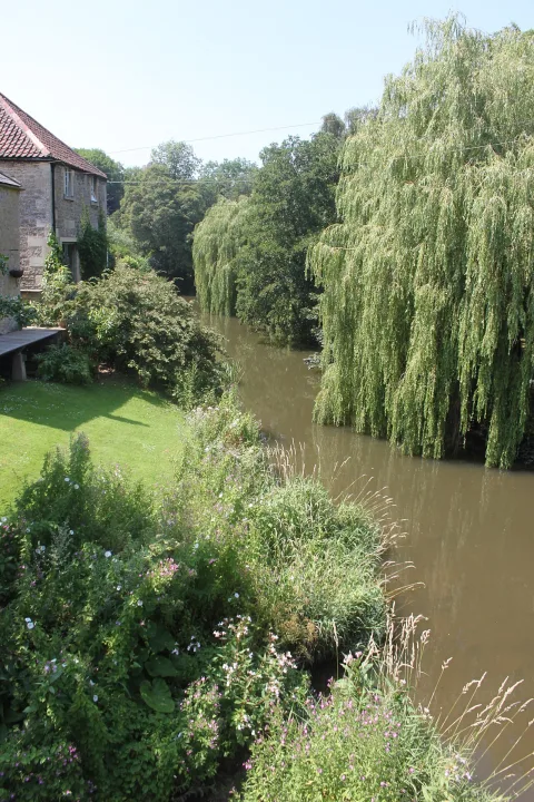 River Frome — Rodw / Wikimedia Commons / CC BY-SA 4.0