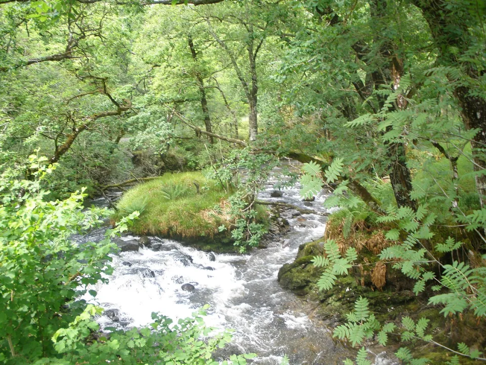 River Goil — John Ferguson  / Wikimedia Commons / CC BY-SA 2.0
