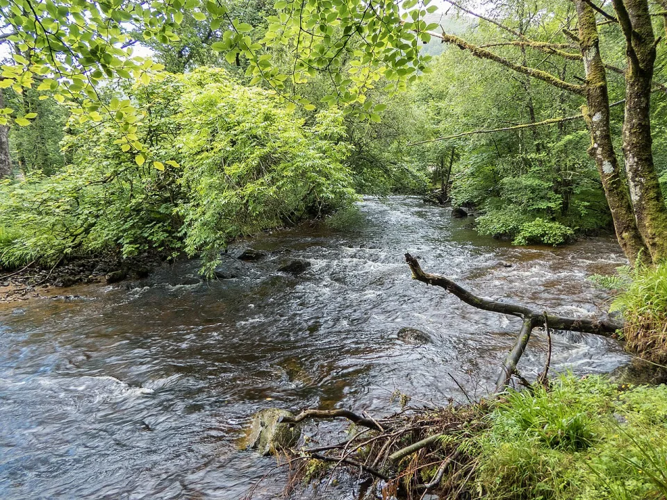 River Goil — David P Howard  / Wikimedia Commons / CC BY-SA 2.0