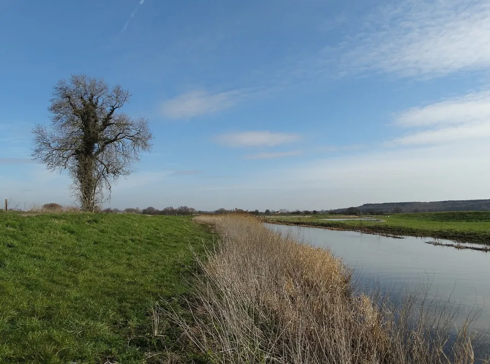 River Idle — Neil Theasby  / Wikimedia Commons / CC BY-SA 2.0