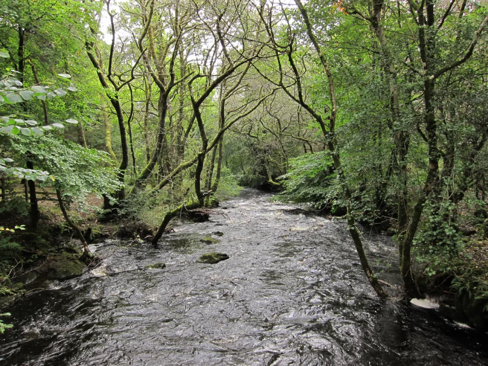 River Leasgeary — Richard Dorrell  / Wikimedia Commons / CC BY-SA 2.0