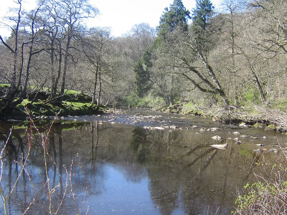 River Lyne — Andy Connor / Wikimedia Commons / CC BY-SA 2.0