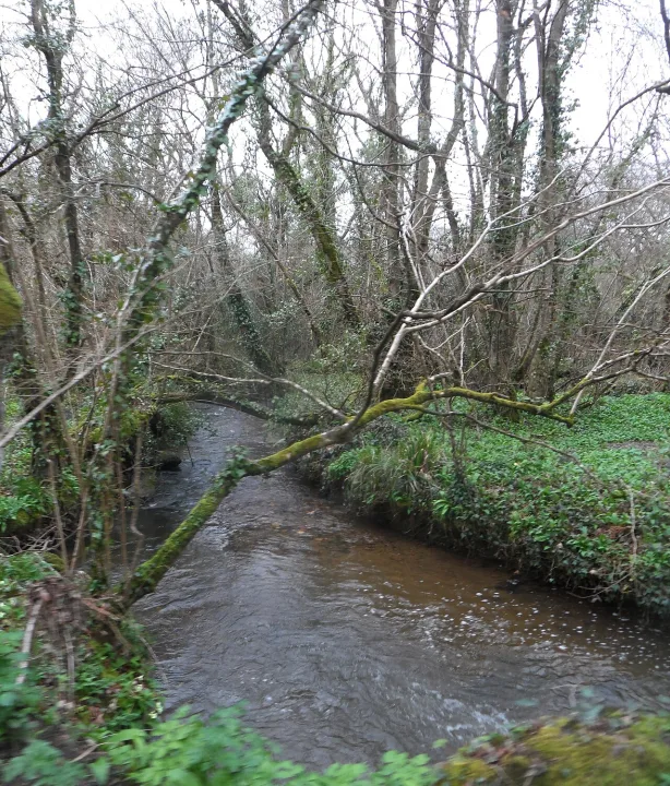 River Menalhyl — Anthony Parkes  / Wikimedia Commons / CC BY-SA 2.0