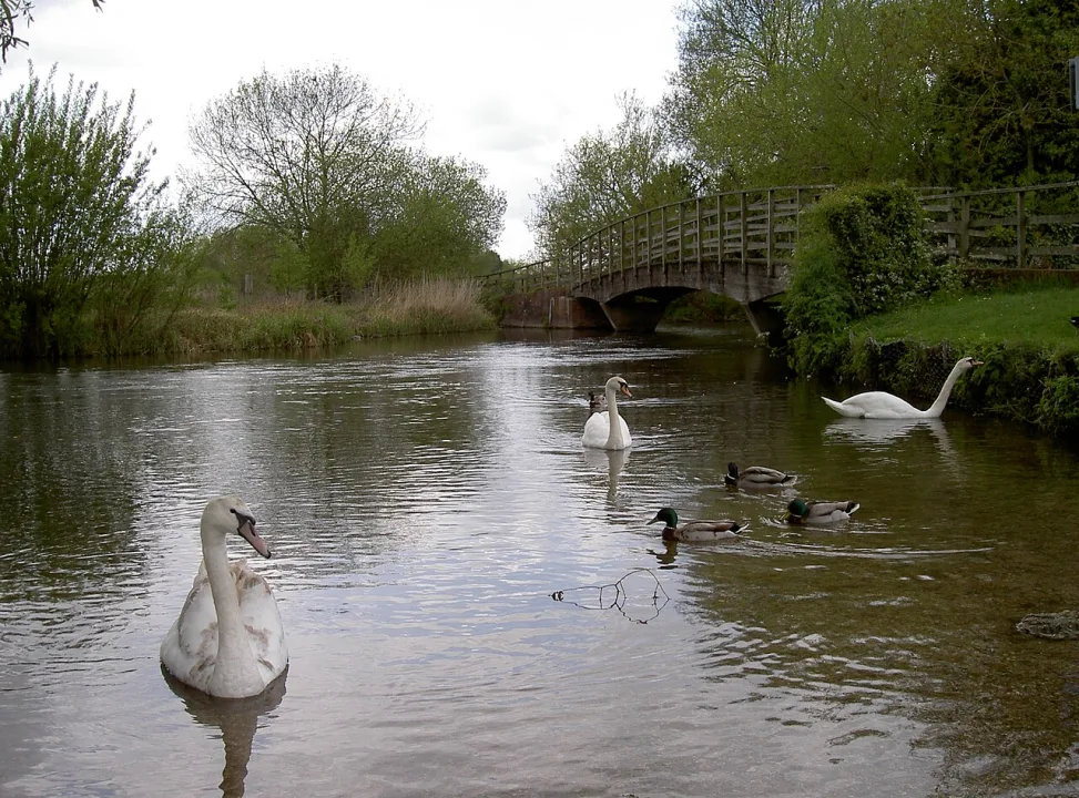 River Nadder — Neil Owen  / Wikimedia Commons / CC BY-SA 2.0