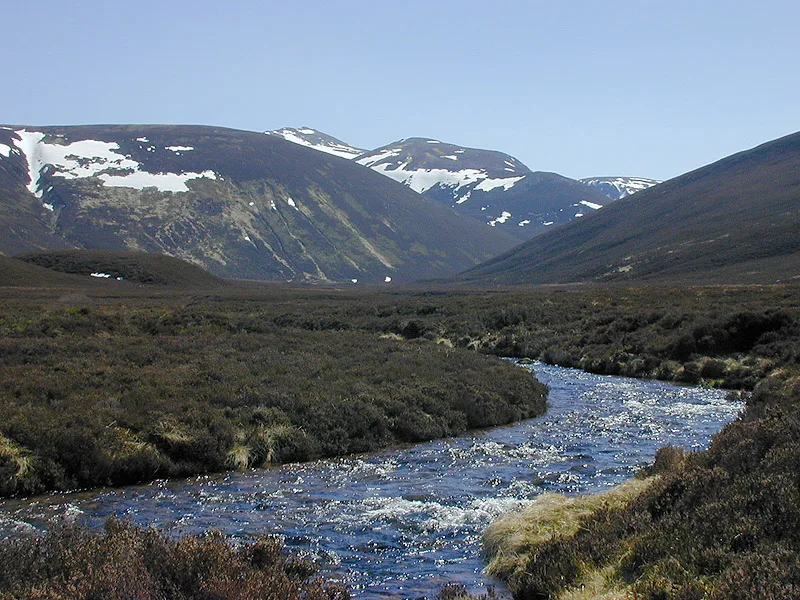 River Nethy — Nigel Brown / Wikimedia Commons / CC BY-SA 2.0