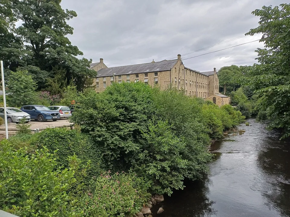 River Nidd — Rich Tea  / Wikimedia Commons / CC BY-SA 2.0