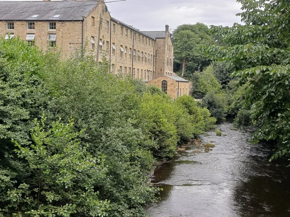 River Nidd — Rich Tea  / Wikimedia Commons / CC BY-SA 2.0