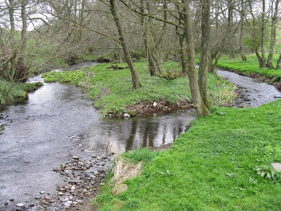 River Petteril — M J Richardson  / Wikimedia Commons / CC BY-SA 2.0