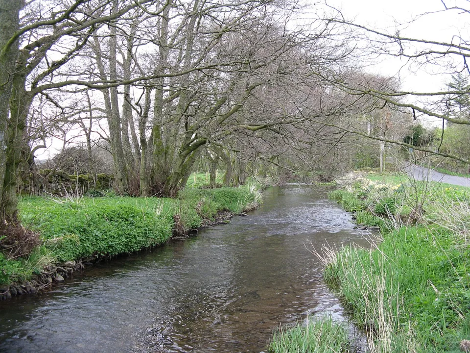 River Petteril — M J Richardson  / Wikimedia Commons / CC BY-SA 2.0