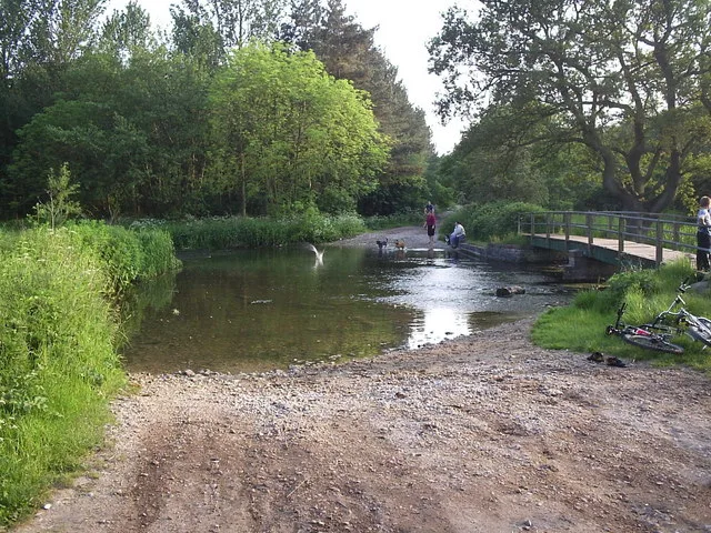 River Poulter — Michael Patterson / Wikimedia Commons / CC BY-SA 2.0