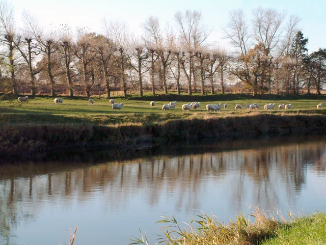 River Rother — Ronald G Nash / Wikimedia Commons / CC BY-SA 2.0