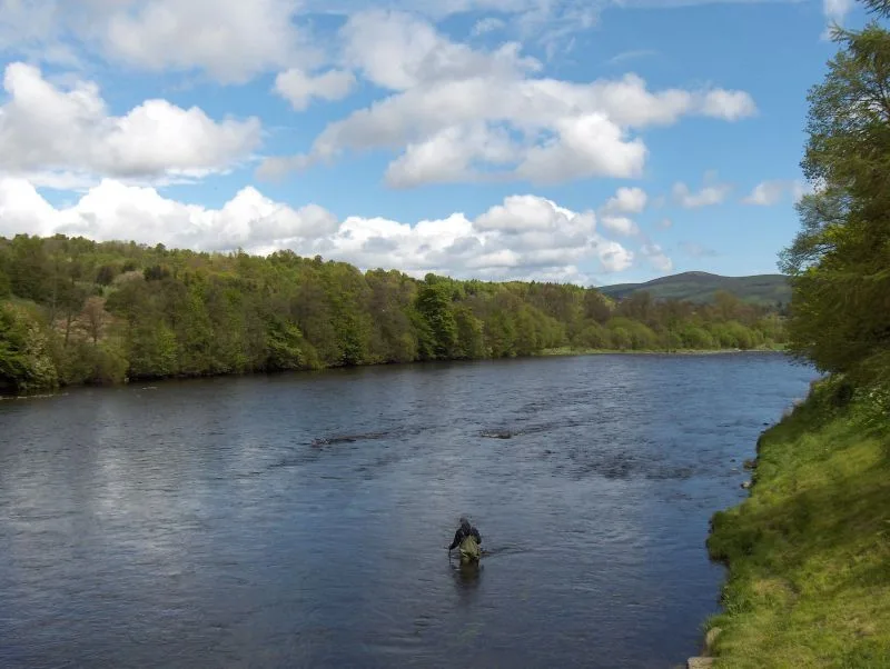 River Spey — The original uploader was Ameins at German Wikipedia. / Wikimedia Commons / CC BY-SA 3.0